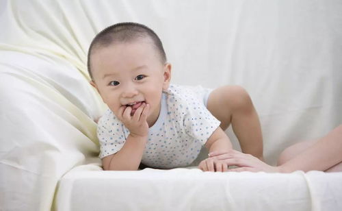 �����Թ�Ӥ��ͼƬ2